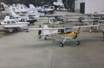 N2319N @ KSEE - Cessna 140 - by Mark Pasqualino