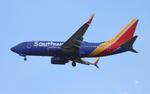 N908WN @ KTPA - SWA 737 zx mke-tpa - by FloridaMetal