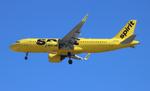 N902NK @ KTPA - NKS A32N zx ord-tpa - by FloridaMetal