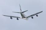 A6-EOX @ CPH - Copenhagen 2.6.2025 - by leo larsen