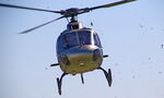 HA-TWN photo, click to enlarge HA-TWN photo, click to enlarge