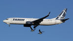 YR-BGM @ EHAM - at eham - by Ronald