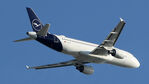D-AIZG @ EBBR - at ebbr - by Ronald
