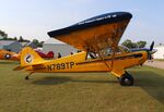 N789TP @ 88C - Aviat A-1B - by Mark Pasqualino