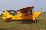 N4681H @ 88C - Piper PA-17 - by Mark Pasqualino