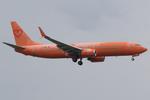 TC-MGR @ LOWW - Mavi Gök 737-800