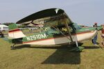 N251DM @ 88C - American Champion 7GCBC - by Mark Pasqualino