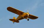 N4681H @ 88C - Piper PA-17 - by Mark Pasqualino