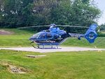 N819LF photo, click to enlarge