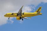 N941NK @ KTPA - NKS A320N zx ord-tpa - by FloridaMetal