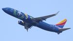 N8646B @ KATL - Southwest Nevada One 738