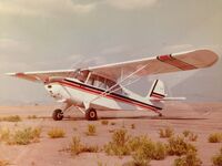 N81402 @ D86 - I owned this 7AC and took the picture myself. 
I sold this airplane to a person in Lodi, CA. 
It was deregistered (May 13, 2013).
If anyone knows the status of this airplane, please email me. - by David Bleasdell