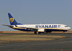 EI-IHC photo, click to enlarge