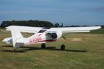 G-FOXO photo, click to enlarge