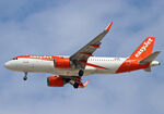 OE-LSA photo, click to enlarge OE-LSA photo, click to enlarge
