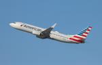 N946AN @ KLAX - AAL 738 zx lax-ord - by FloridaMetal