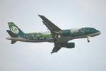EI-DEG @ LMML - Airbus A320-214 reg EI-DEG of Aer Lingus in the 'Irish Rugby Team' livery landing in Malta RW13. - by raymond