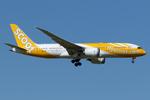 TC-MGN @ LOWW - Scoot 787-8 - by Andy Graf