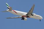 A6-EGW photo, click to enlarge A6-EGW photo, click to enlarge