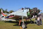 F-AZDP @ LFFQ - Ferté Alais 2023 - by B777juju