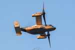 169466 @ KPSM - BISON44 heading back to NAS Norfolk - by Topgunphotography