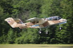 F-AZKM @ LFFQ - Ferté Alais 2023 - by B777juju