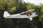 F-BFBQ @ LFFQ - Ferté Alais 2023 - by B777juju