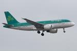 EI-EPU @ LOWW - Aer Lingus A319 - by Andy Graf