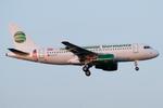 D-ASTZ @ LOWW - Germania A319 - by Andy Graf