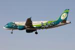 EI-DEG @ LMML - Special livery Irish Rugby Team for Aer Lingus Airbus A320-214 reg EI-DEG seen here on final approach for RW31 in Malta. - by raymond