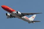 OO-TSA @ LOWW - TNT 777-200F - by Andy Graf