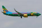 D-ATUJ @ LOWW - TUI Fly 737-800 - by Andy Graf