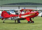 D-EDRK @ EDOI - EAA Acro Sport II at Bienenfarm airfield during the 2025 Quax Bücker-Treffen (Bücker-Meeting) and Vintage Aerobatic World Championships