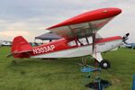N303AP @ KOSH - Bearhawk