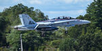 164874 @ KPSM - COWBOY11 recovering at KPSM after a Military flyover Fort Sewall in Marblehead MA - by Topgunphotography