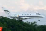 M-AJOR @ LSGG - Untitled Beech 900 - by Andy Graf