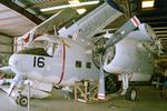 136534 @ KISM - 136534  1957 Grumman US-2B Tracker USN Reilly's Aviation Kissimmee 26.07.03