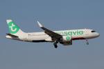 F-HXSF @ LMML - Airbus A320-252N reg F-HXSF of Transavia France landing in Malta. - by raymond