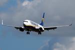EI-DHC @ EGSH - Landing at Norwich. - by Graham Reeve