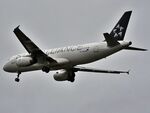 SX-DVQ photo, click to enlarge
