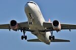 EC-MUC photo, click to enlarge