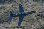 ZB133 - Cad West Mach Loop LFA7 Wales - by Steve Wright