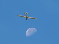 OE-0061 @ EDST - At 20th OTT Hahnweide 2025 - by Volker Leißing