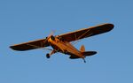 N70246 @ C77 - Piper J3C-65 - by Mark Pasqualino