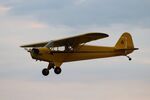 N3572K @ C77 - Piper J3C-65