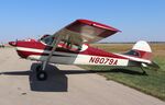 N8079A @ KFEP - Cessna 170B - by Mark Pasqualino