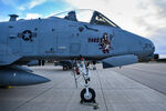 80-0276 @ KPSM - displaying HADES Nose art after EU rotation - by Topgunphotography