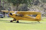 N26950 @ 8FL3 - Piper J3C-65 - by Mark Pasqualino