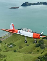 ZK-CHP - over Kawakawa Bay - by David Saunders