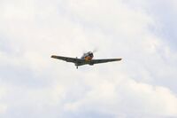 D-FEML photo, click to enlarge